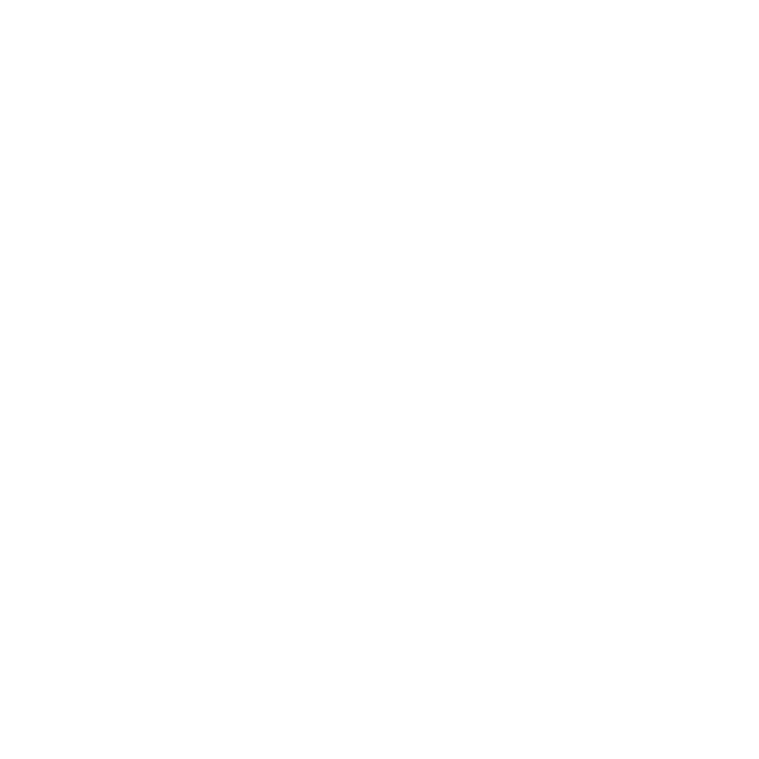LAYV-Logo-white
